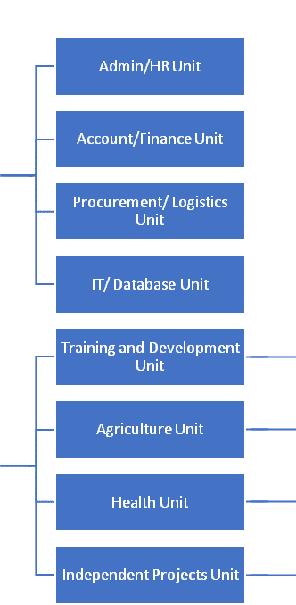 organization-chart-03