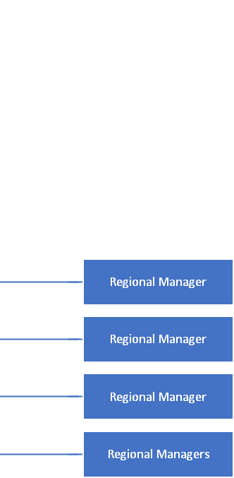 organization-chart-04